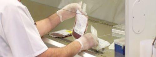Sangre de cordón procesada en laboratorio
