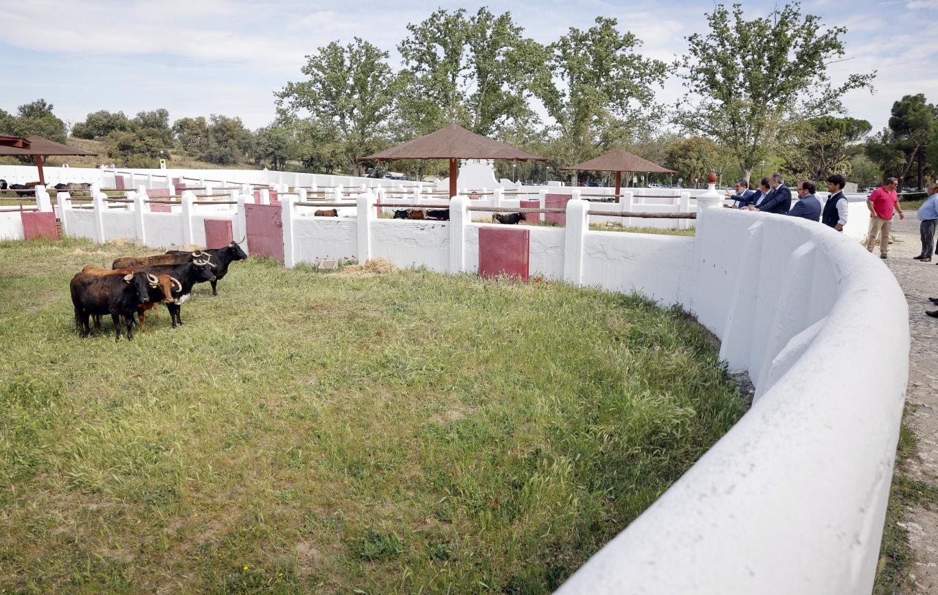 La Comunidad de Madrid estrena en la Venta del Batán la I Feria de Ganaderías de reses bravas con múltiples actividades culturales Un espacio en la Venta del Batán