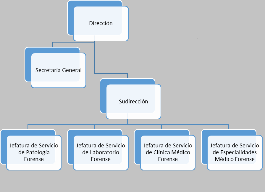 Gráfico estructura del Instituto de Medicina Legal