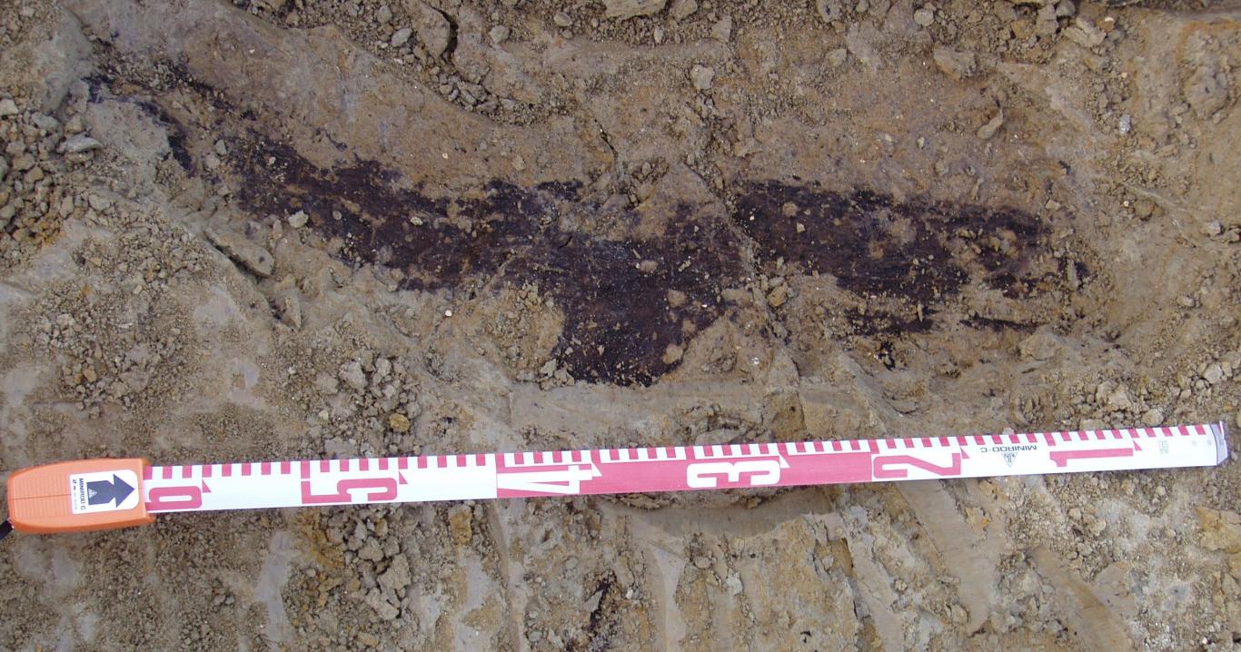 Impronta yacimiento de Valdocarros 