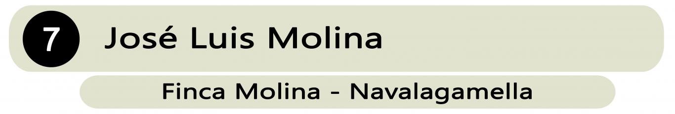 Ganadería José Luis Molina