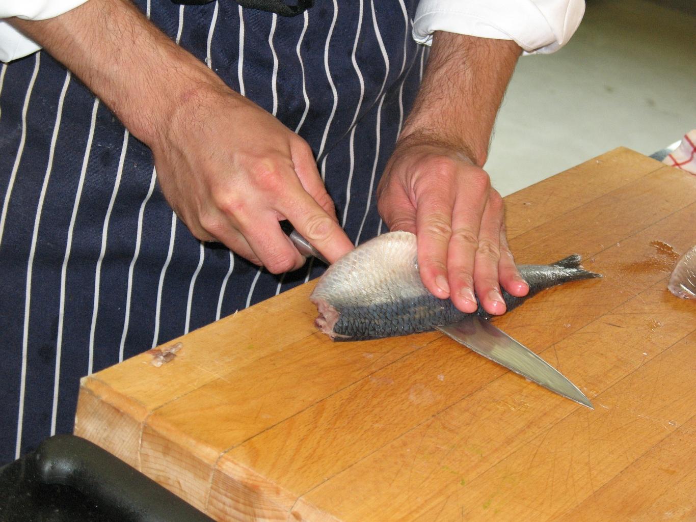 Cocinero fileteando pescado