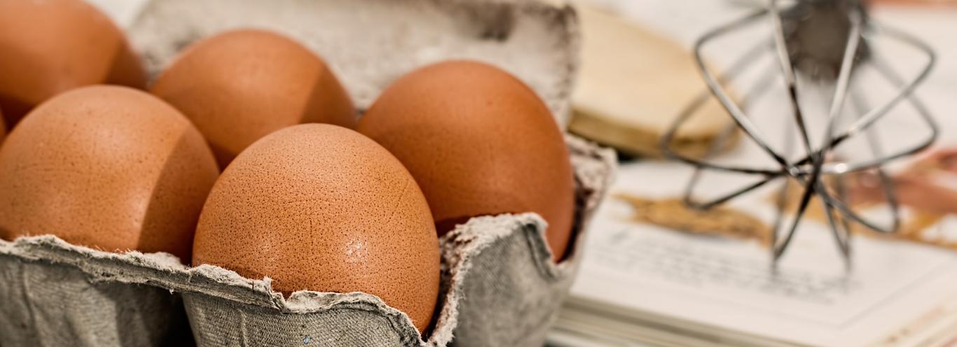 Huevos con cáscara en una huevera