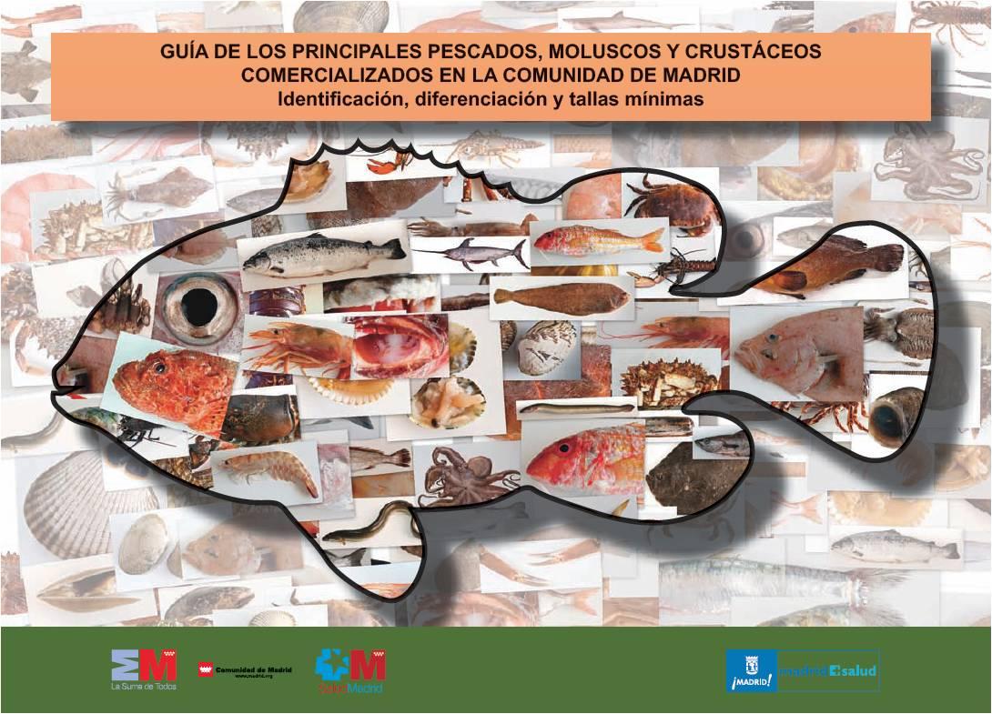 Imagen de la portada de la Guía de los principales pescados, moluscos y crustáceos comercializados en la Comunidad de Madrid
