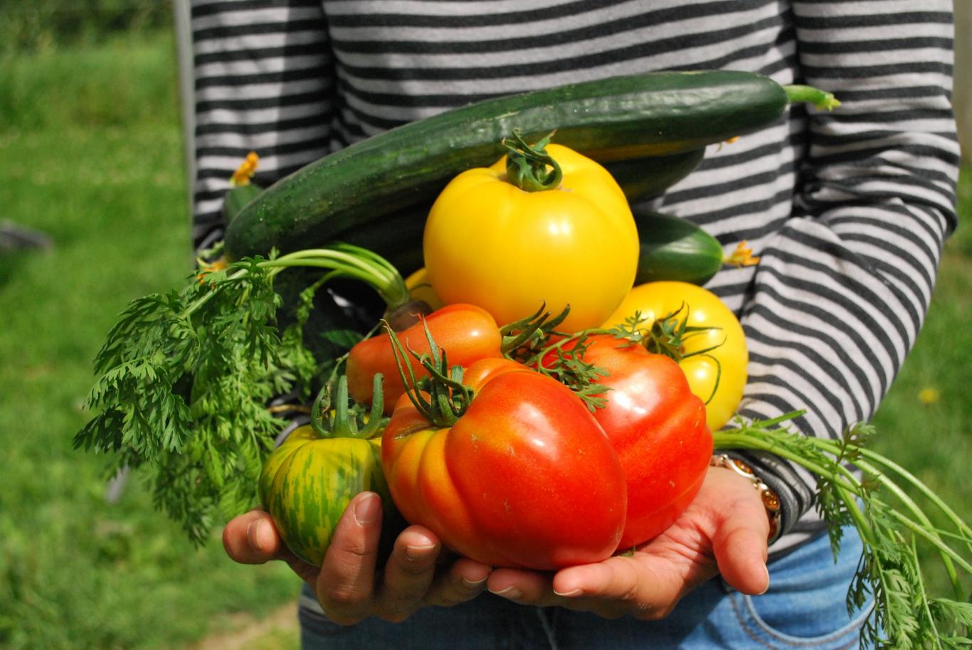 Niño que lleva en la mano varias verduras