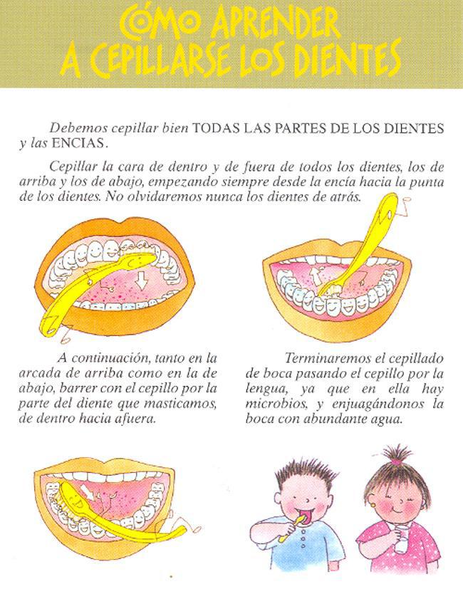 Pegatina explicativa cepillarse los dientes
