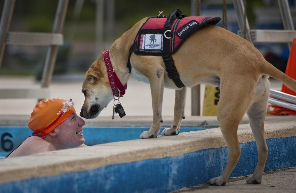 Nadadora ciega hablando con su perro guía en la piscina