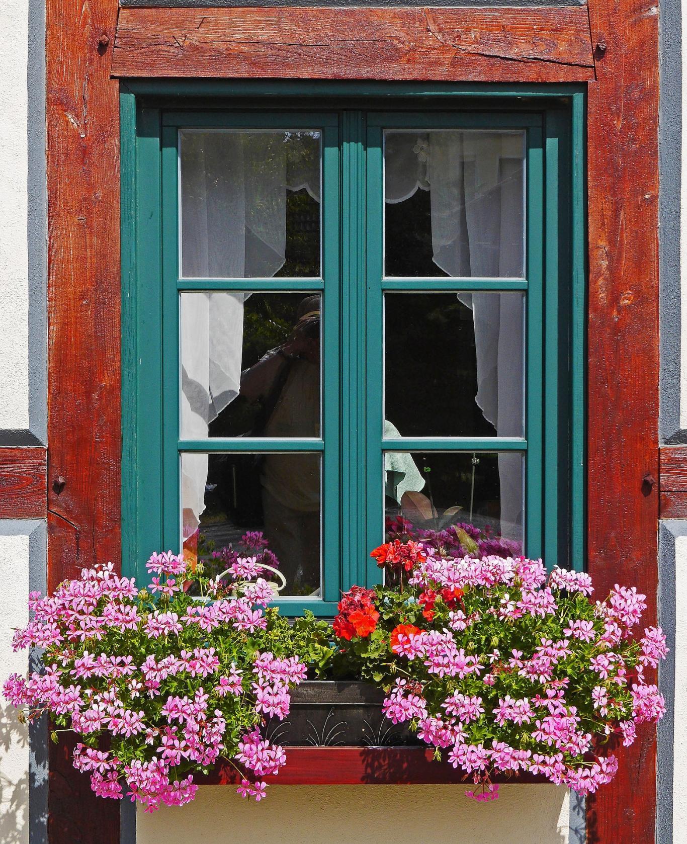 Ventana con flores