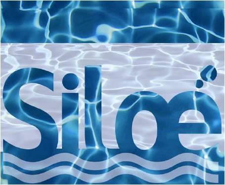 Imagen del logo oficial de SILOÉ