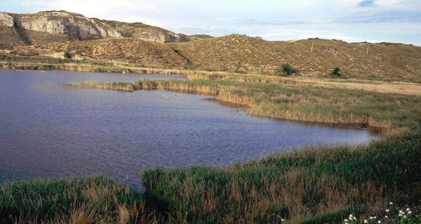 Espacios Naturales Protegidos. El Regajal-Mar de Ontígola