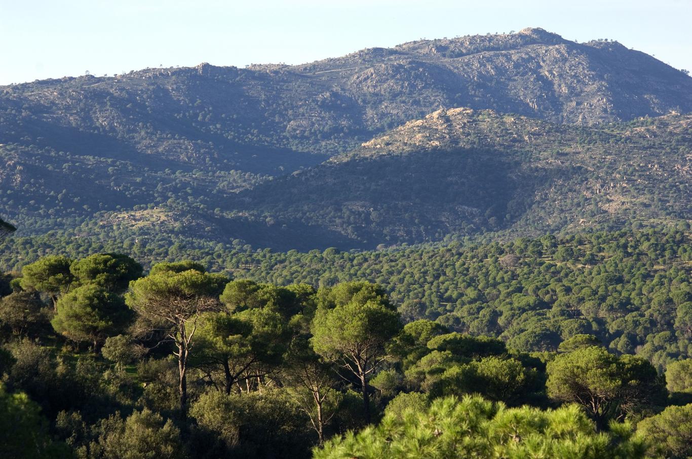 Cuerda de la Parada. Pelayos de la Presa