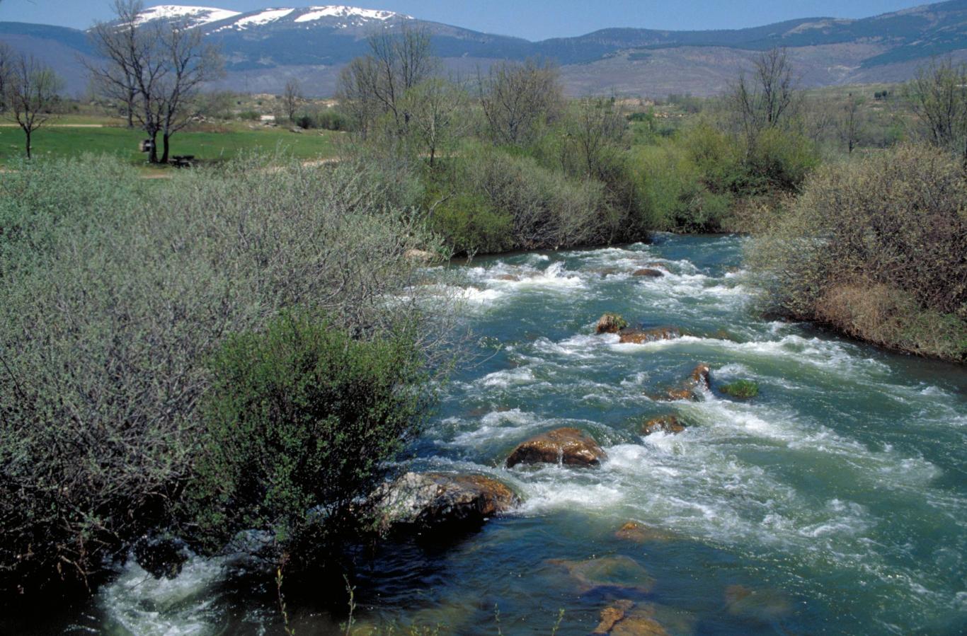 Imagen del Río Lozoya