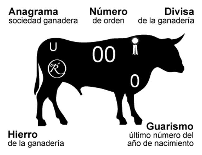 Esquema de las señas de identidad del toro de lidia