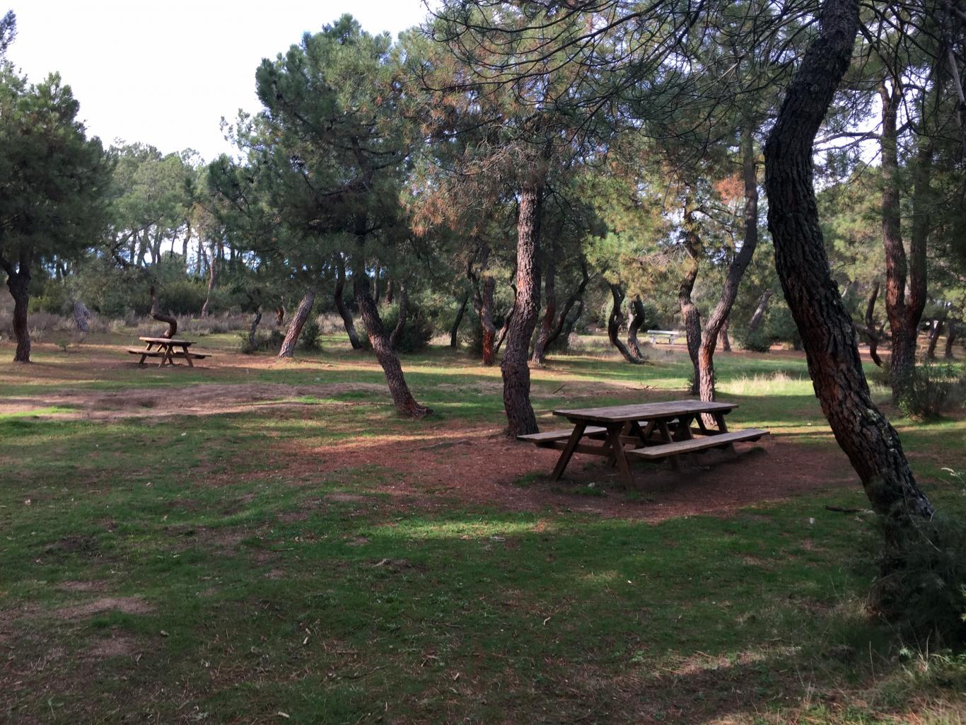 Parque Regional de la cuenca alta del Manzanares. Área recreativa El Berzalejo