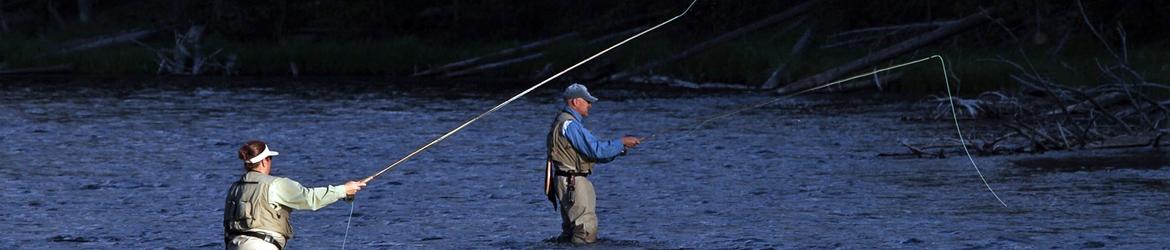 Sección de Caza y Pesca del Consejo de Medio Ambiente