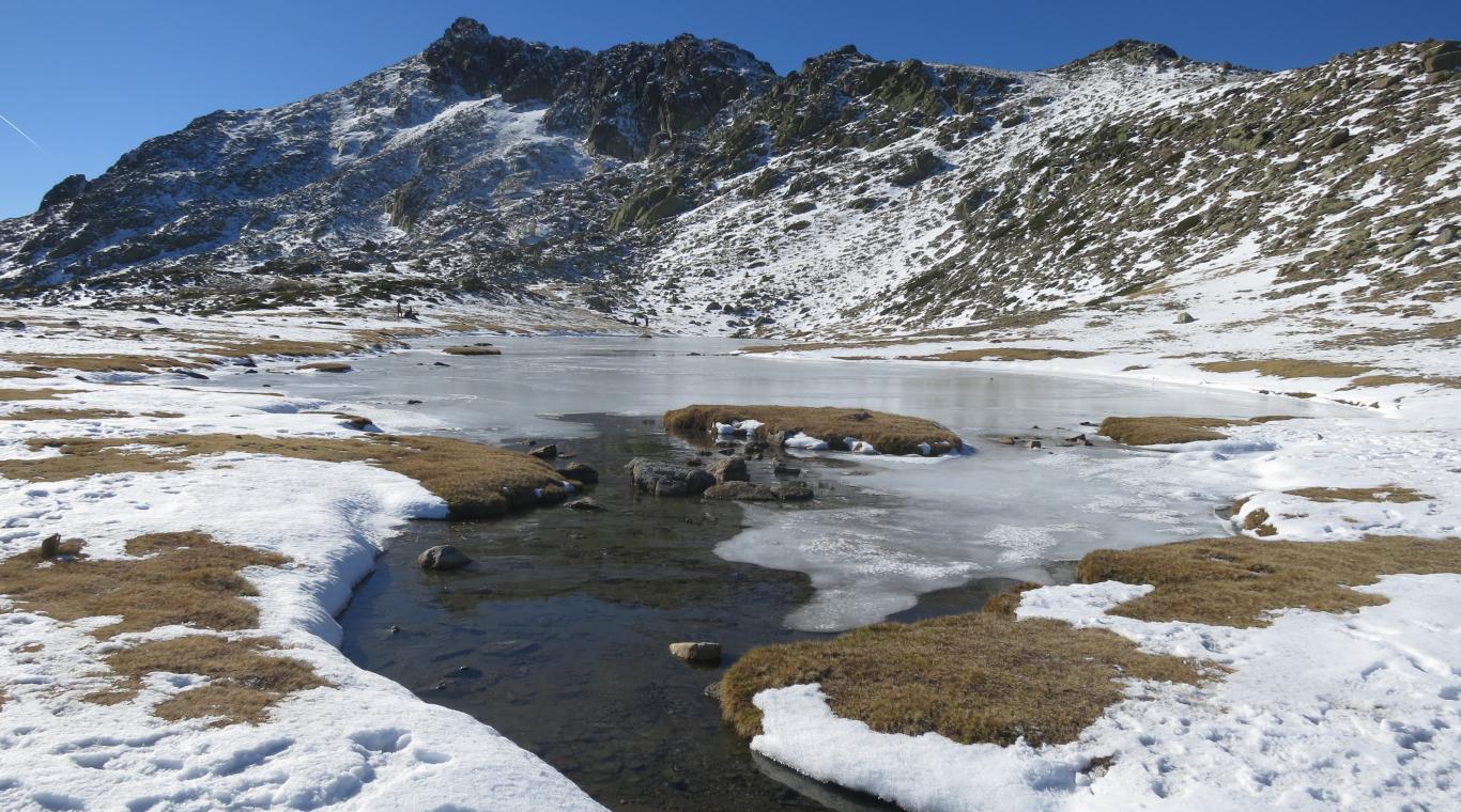 La Laguna de pájaros