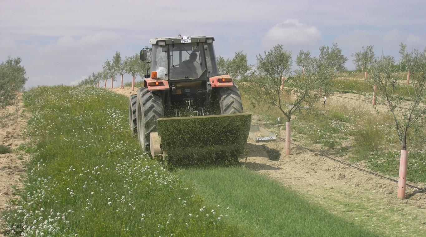 Tractor segando en campo de cultivo La Chimenea
