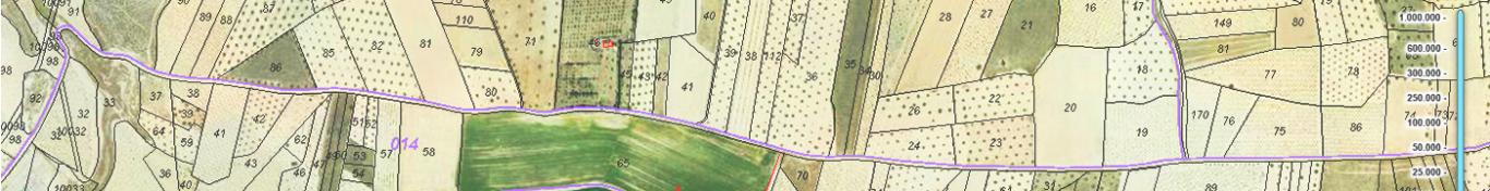 Image of polygons and parcels on a map