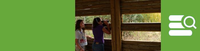 Actividades de educación ambiental