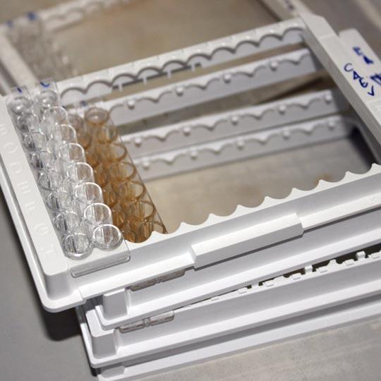 Virology Unit
