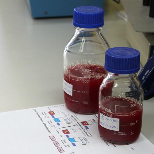 Serology Unit