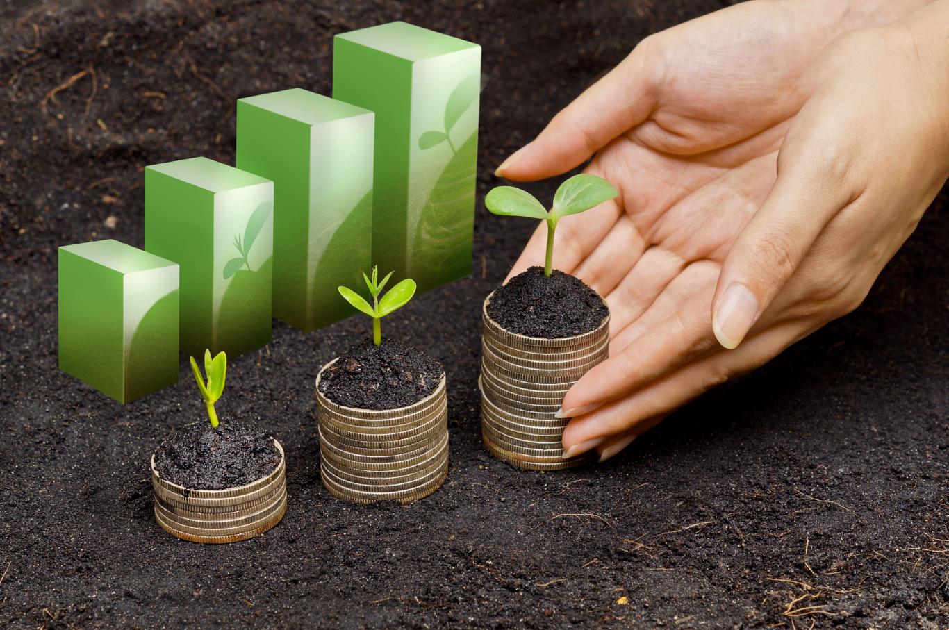 Green sprouts coming out of several stacks of coins