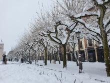 Alcalá de Henares - Paquita Castellanos Fernández 7