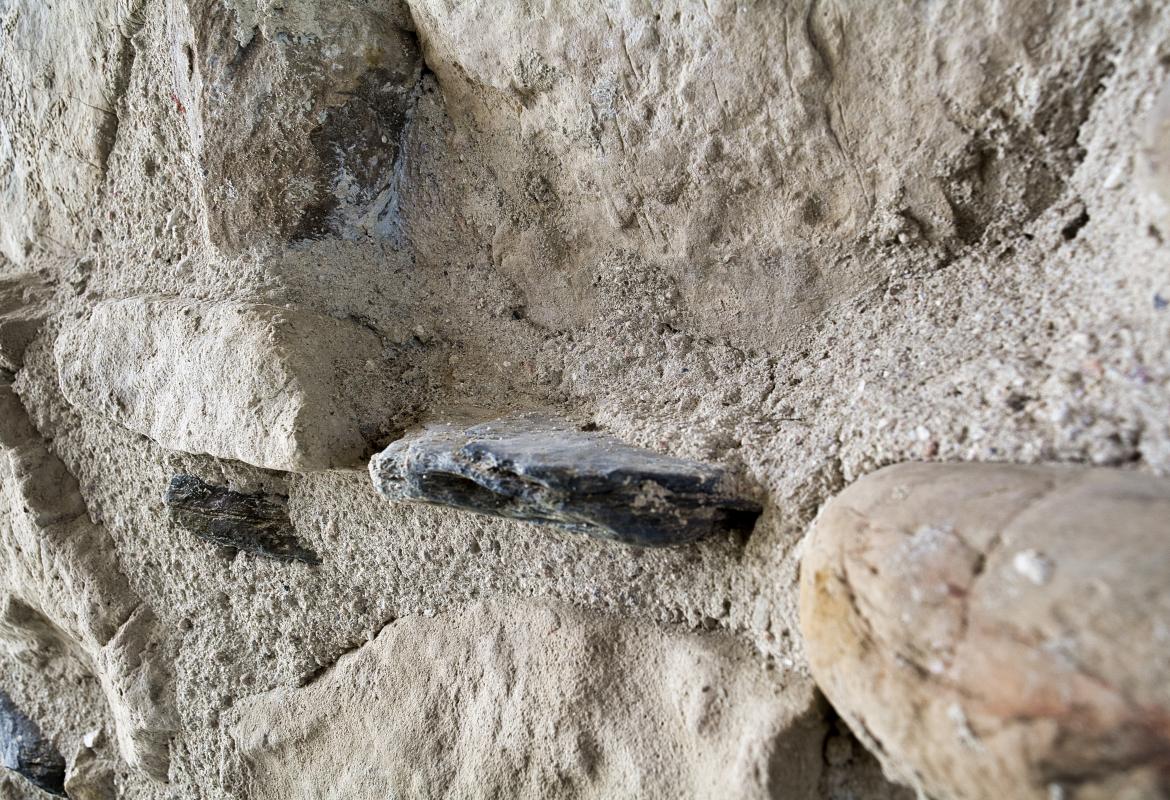 Restoration of the bridge-aqueduct of San Román