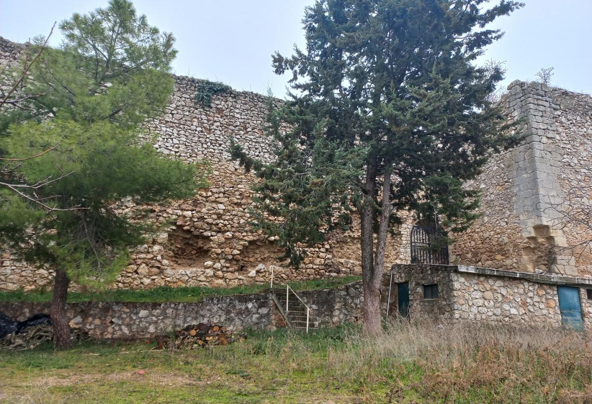 vista del castillo de torremocha con desperfectos en la mampostería y vegetación