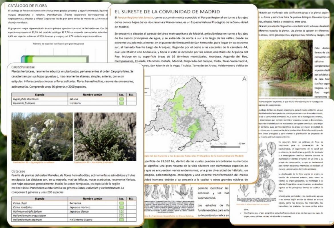 Catálogo de Flora del Parque Regional del Sureste