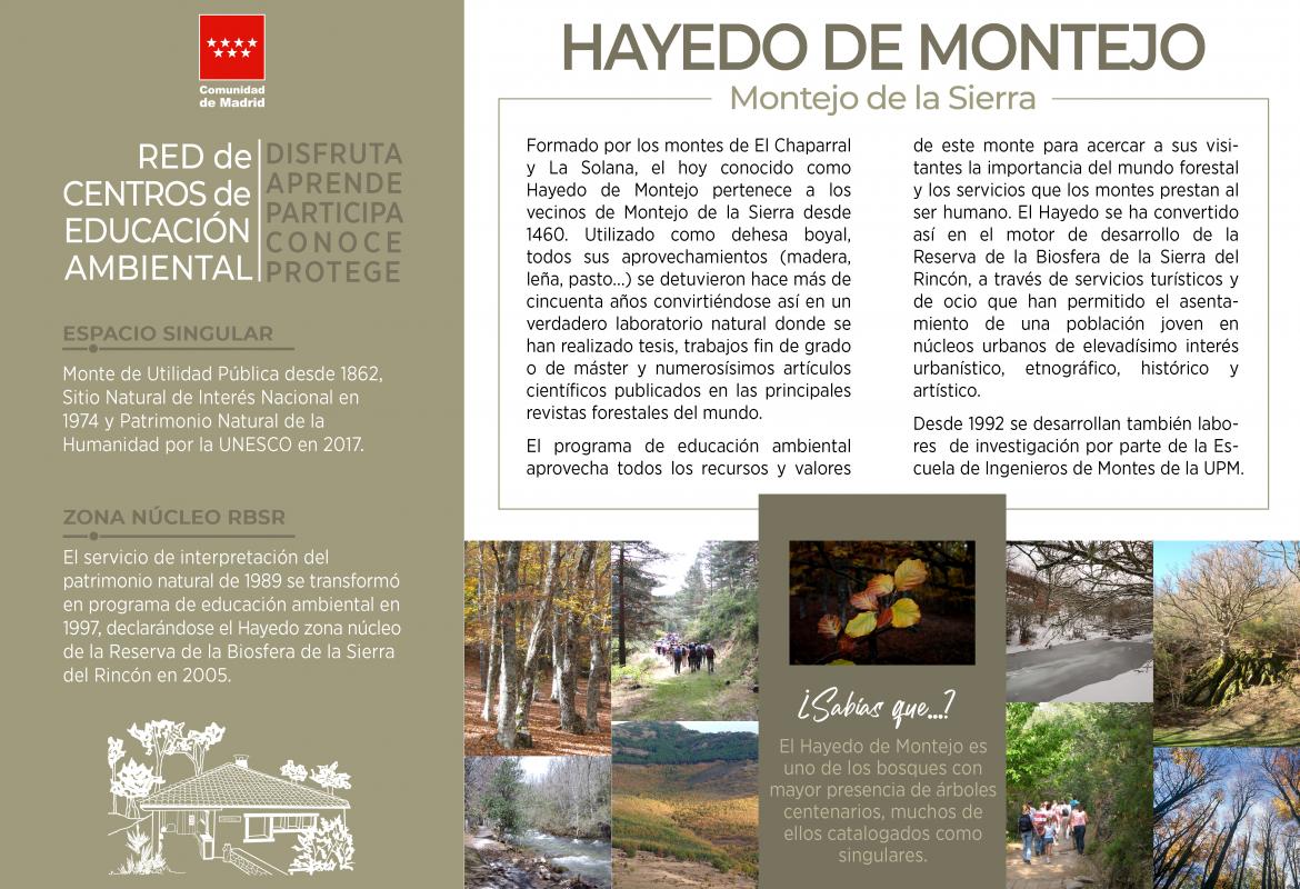 Hayedo de Montejo