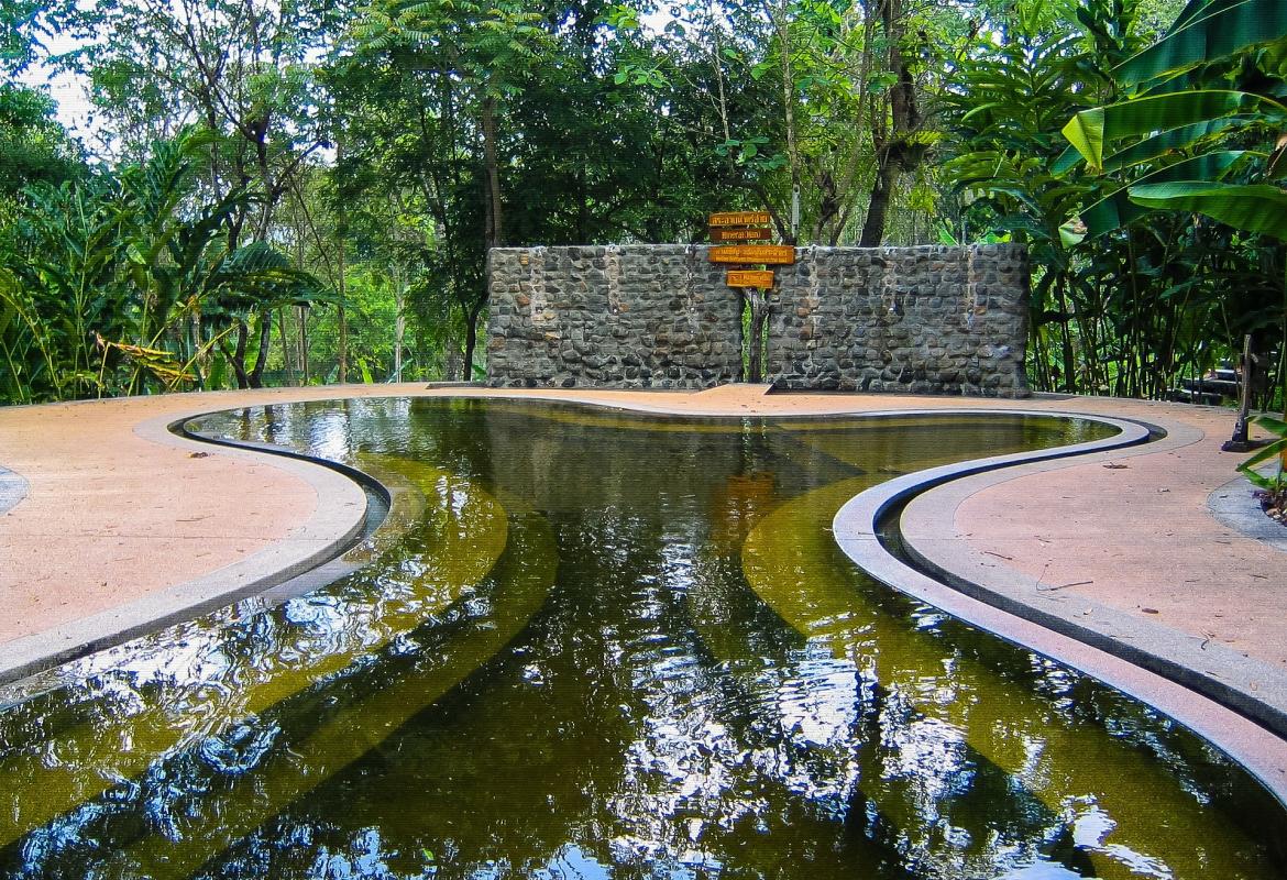 Piscina con forma sinuosa rodeada de vegetación