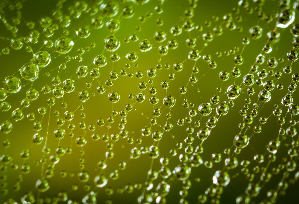 Gotas de agua sobre un fondo verde