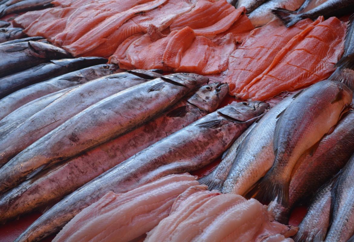 Pescados expuestos para la venta en una pescadería