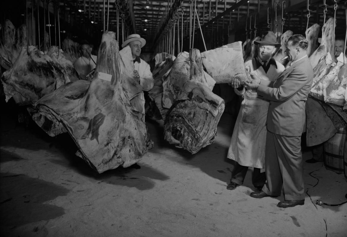 Canales de vacuno en un matadero antiguo inspeccionándose por un operarios del matadero y un seños con traje