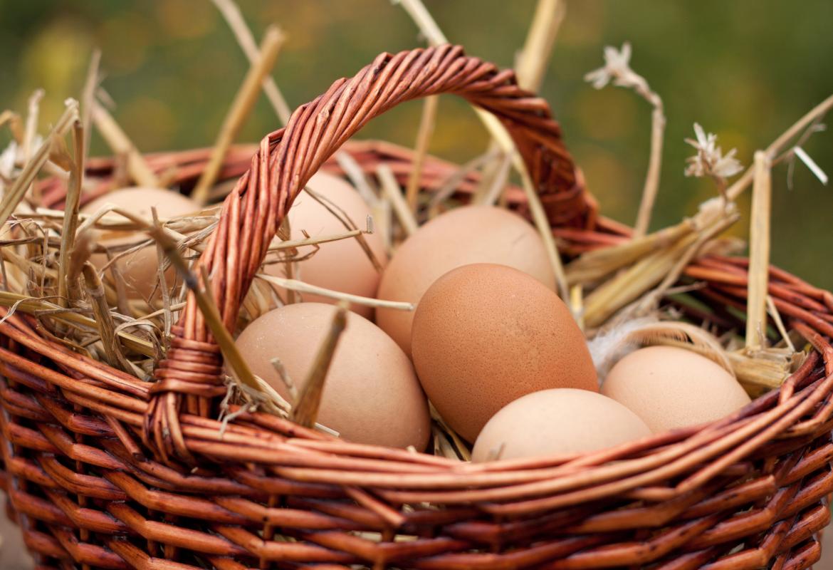 Huevos frescos de gallina en una cesta