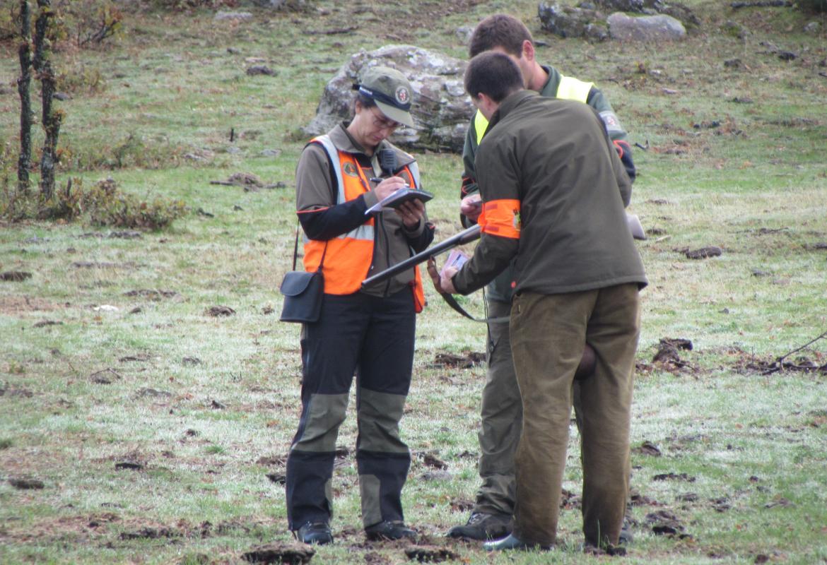 Control de caza menor por parte de agentes forestales