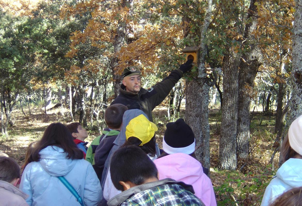 Forest Agent shows nesting boxes to a group of children.