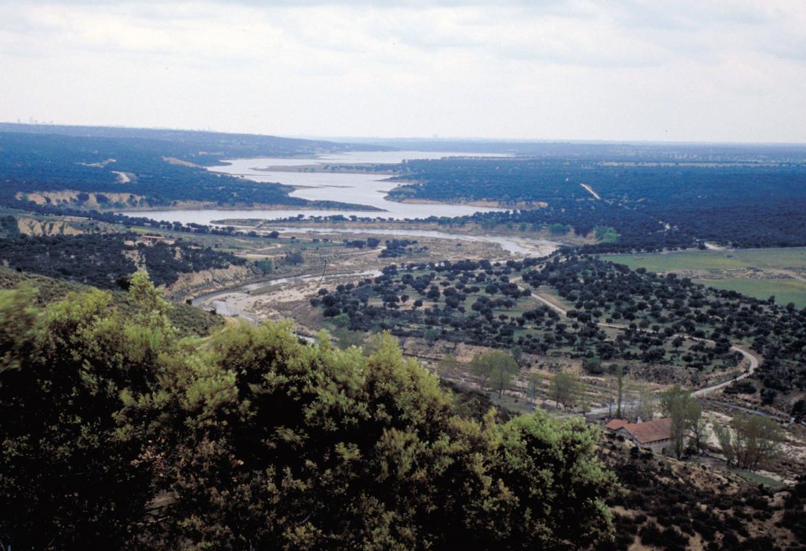 Embalse de El Pardo. Madrid