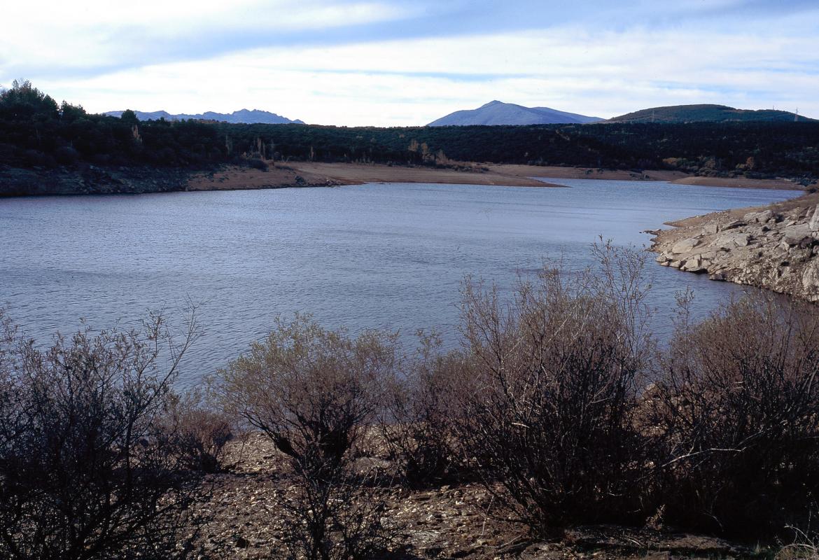 Embalse de Puentes Viejas. Piñuecar