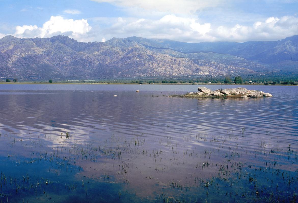 Embalse de Santillana. Manzanares El Real