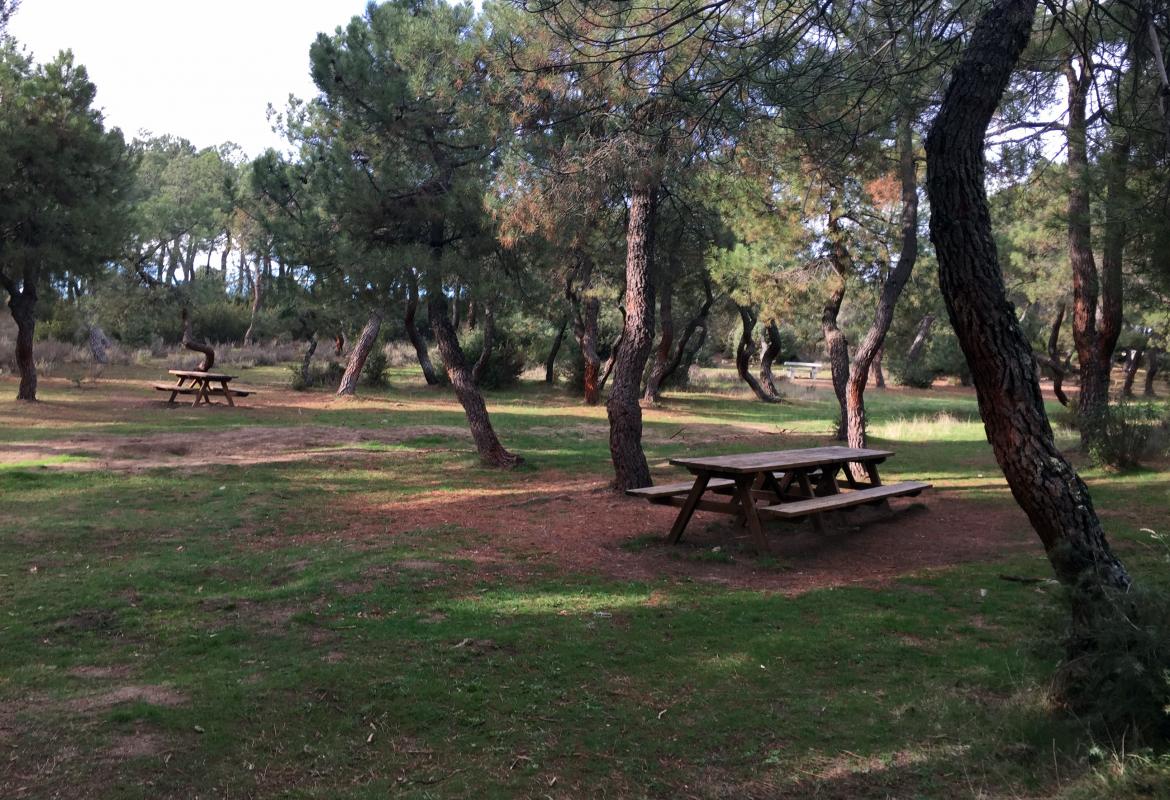 Parque Regional de la cuenca alta del Manzanares. Área recreativa El Berzalejo