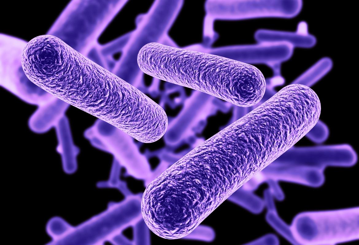 Imagen de una bacteria con tonos morados