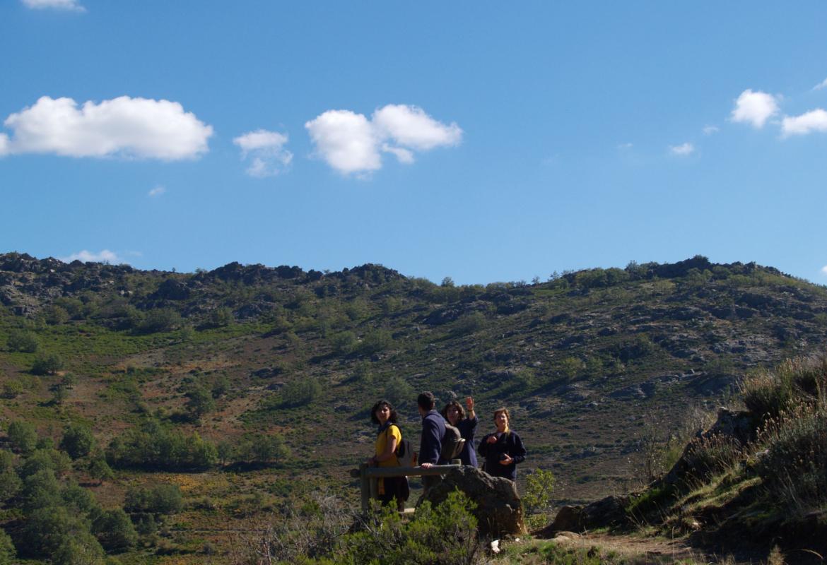 Mirador del Hayedo