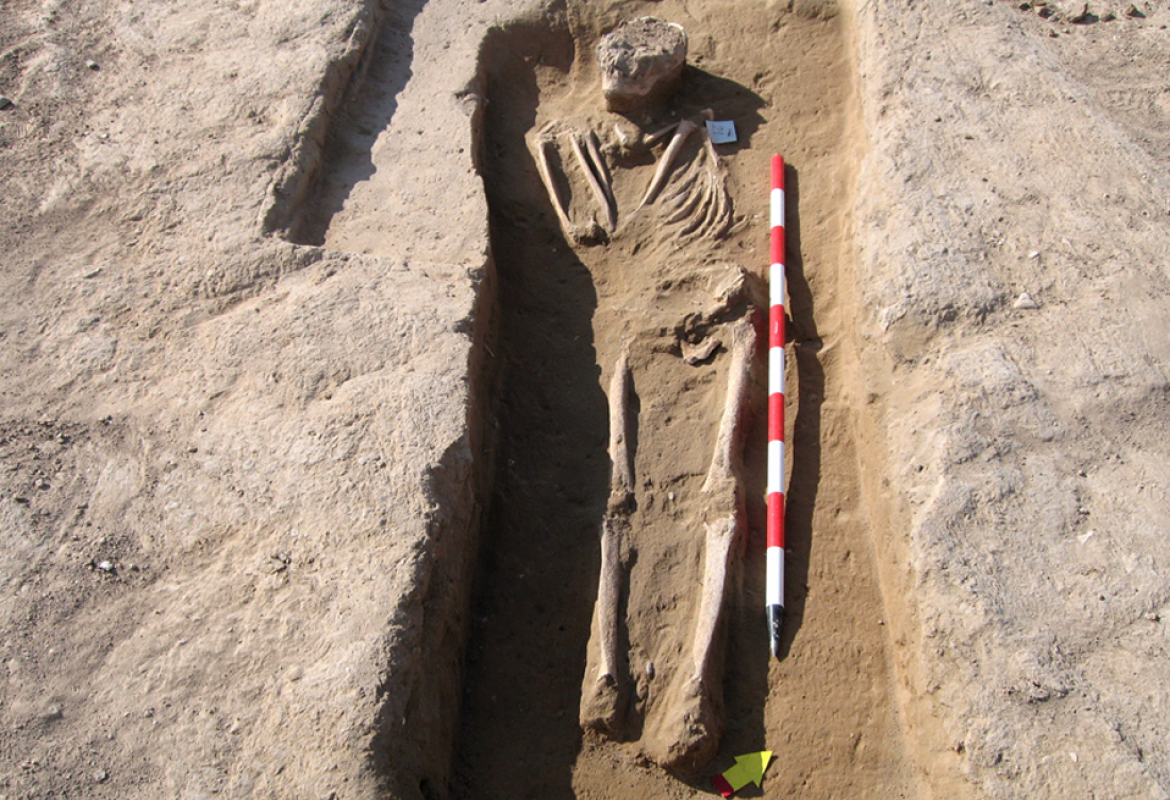 Yacimiento arqueológico de Titulcia