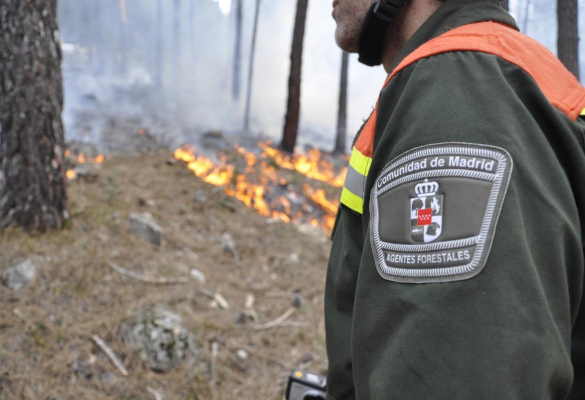 Imagen de agentes forestales en incendio