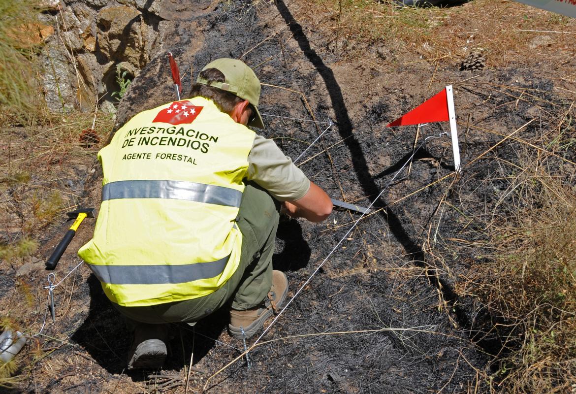 Imagen de agentes forestales investigando un incendio