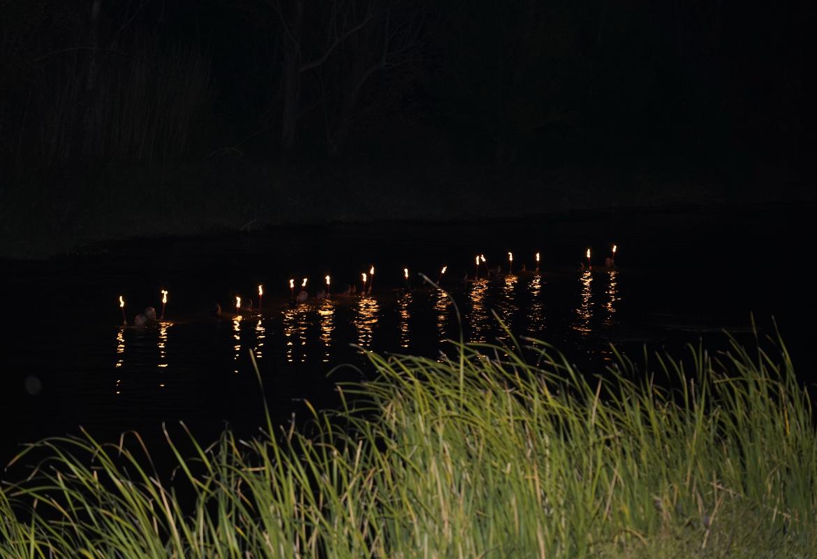 Procesión fluvial de la virgen de la Alarilla 