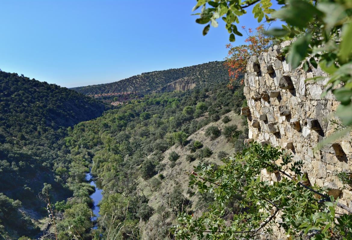 presa gasco 06