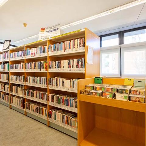 Biblioteca Antonio Mingote (Latina)